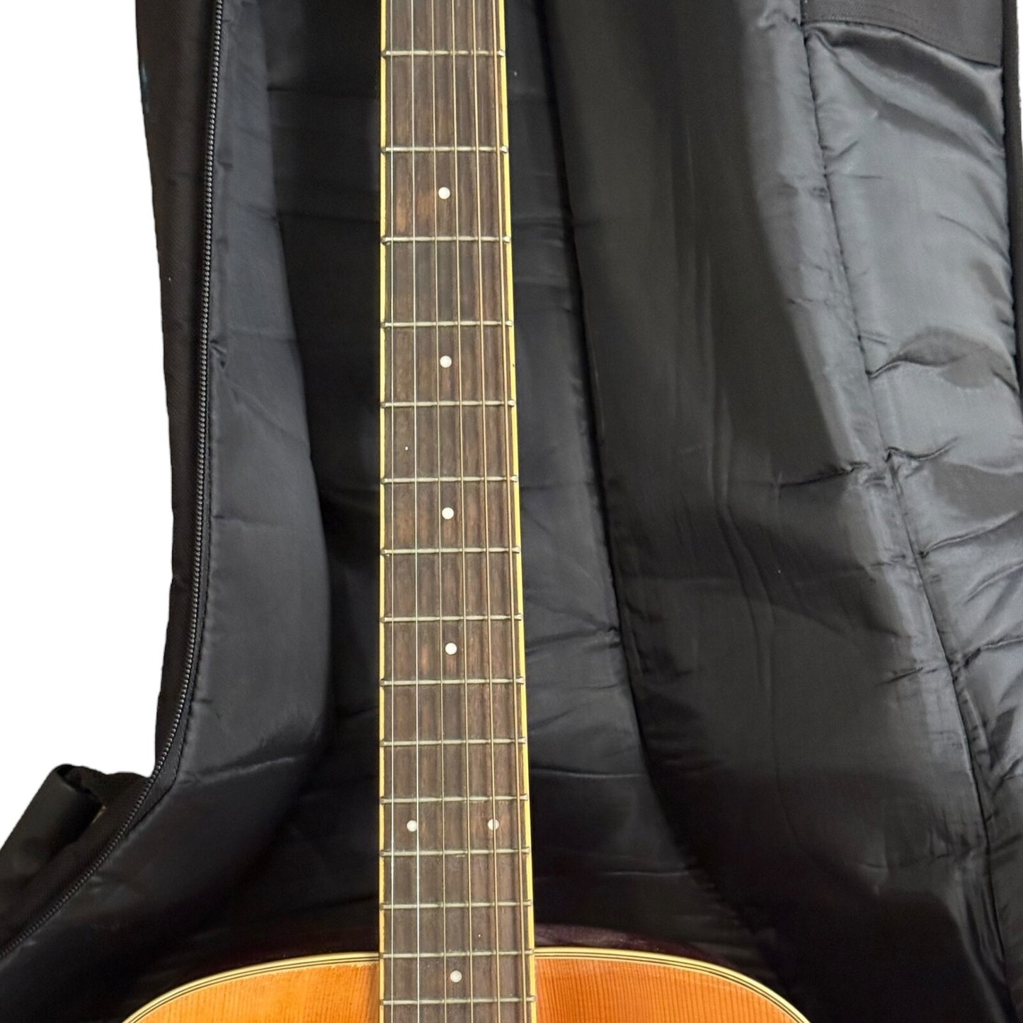 Samick Greg Bennett D5 Left-Handed Acoustic and Guitar Case