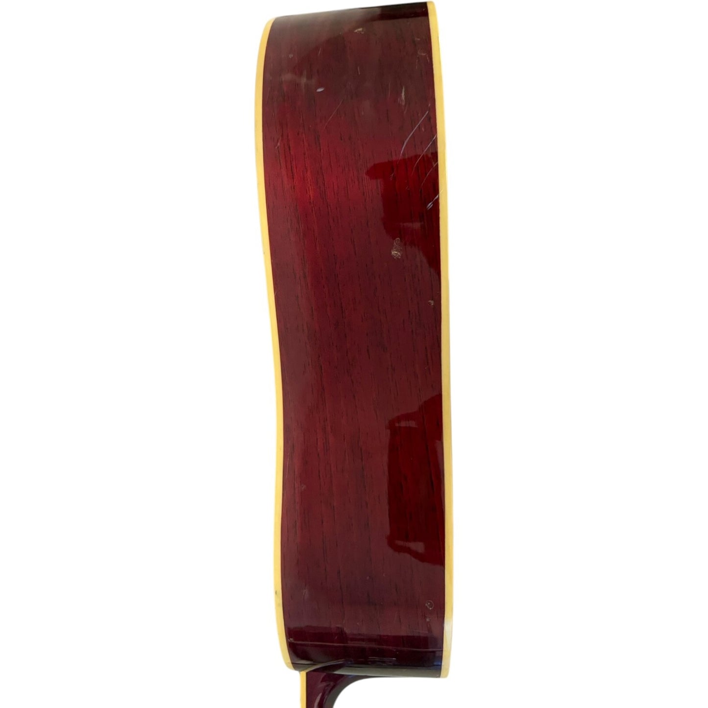Samick Greg Bennett D5 Left-Handed Acoustic and Guitar Case