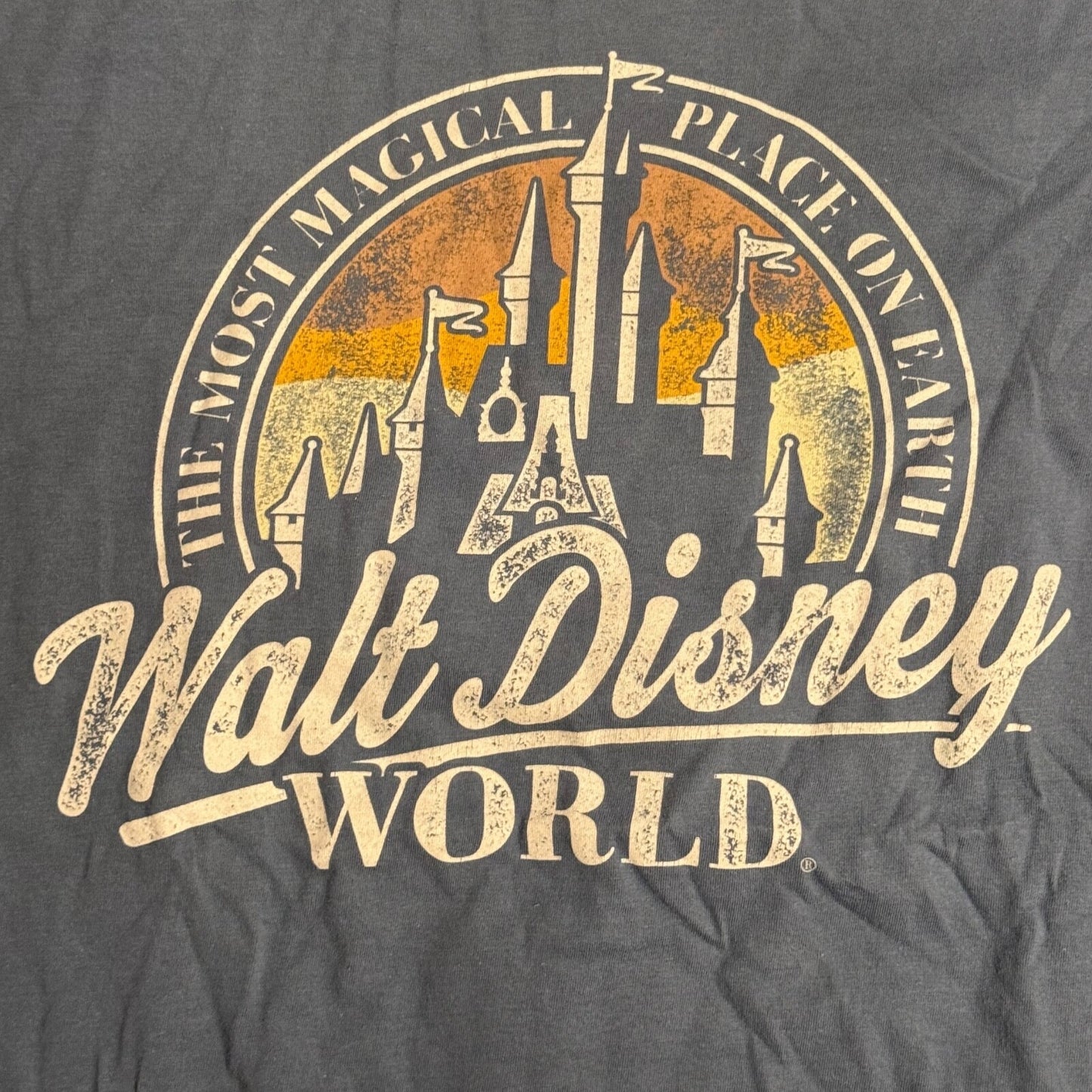 Walt Disney World T-Shirt Mens Med The Most Magical Place on Earth Size Medium
