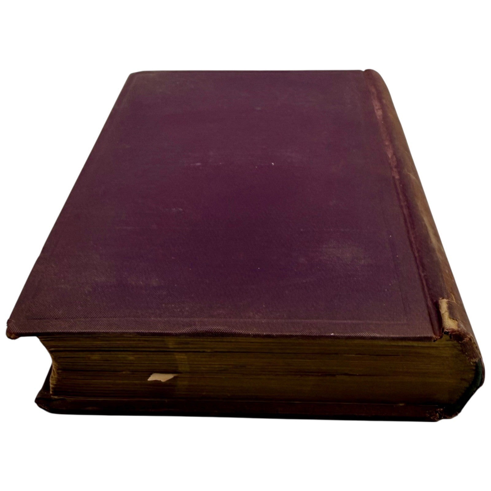 Image #5