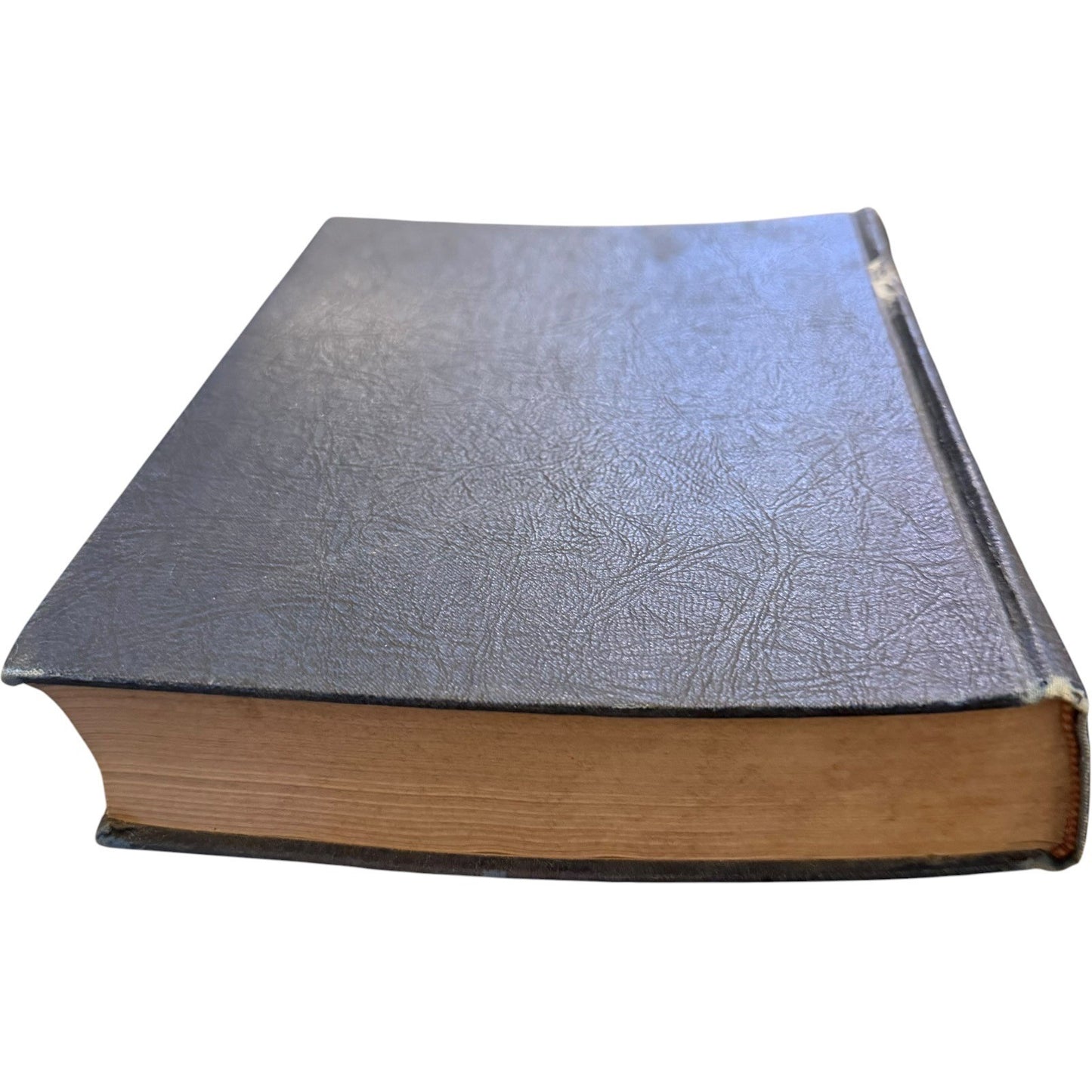 Image #5