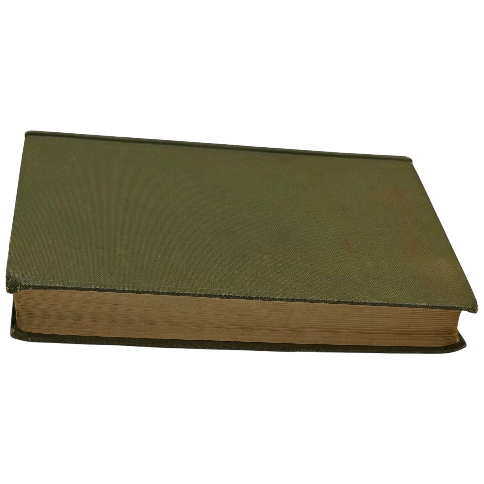 Image #7