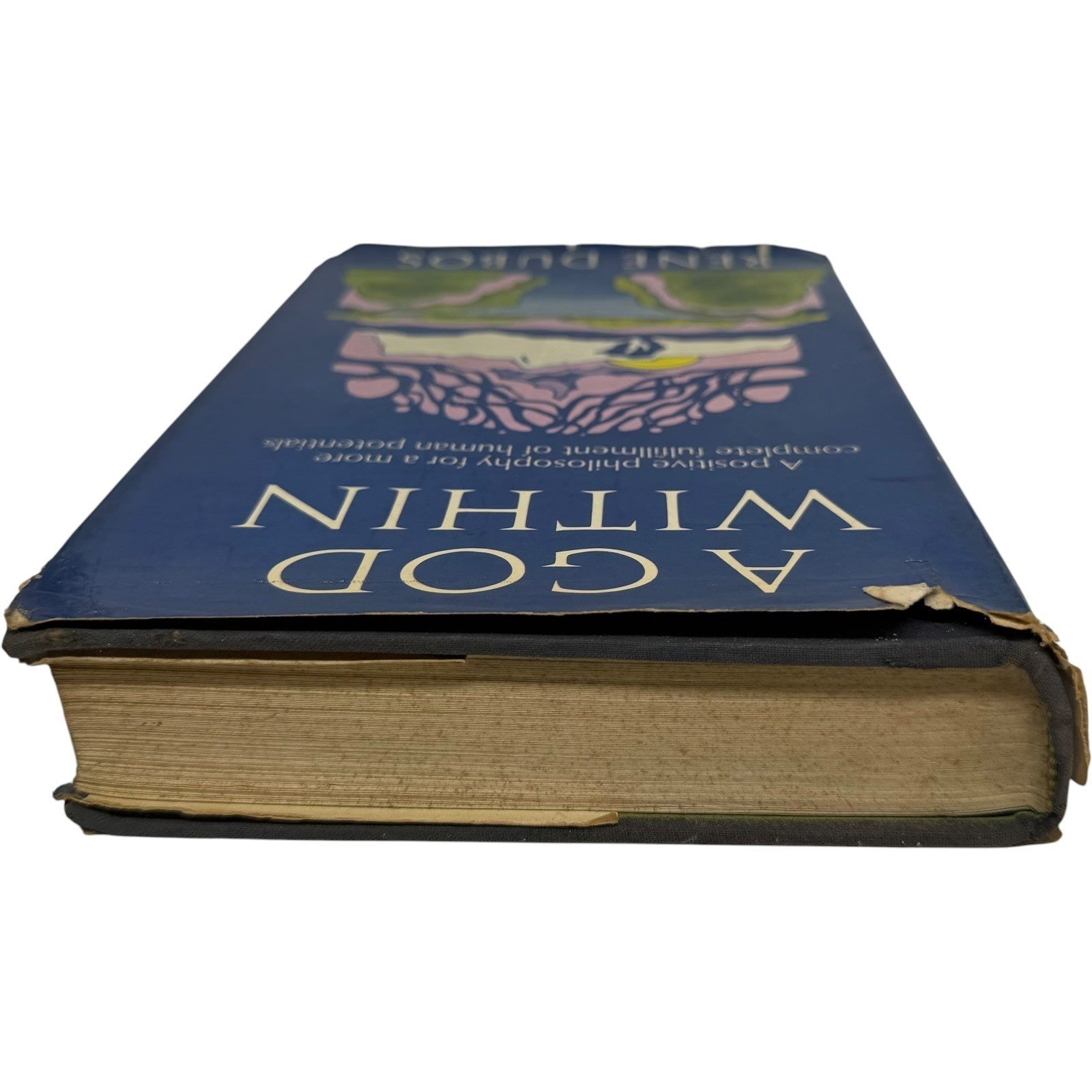 Image #5