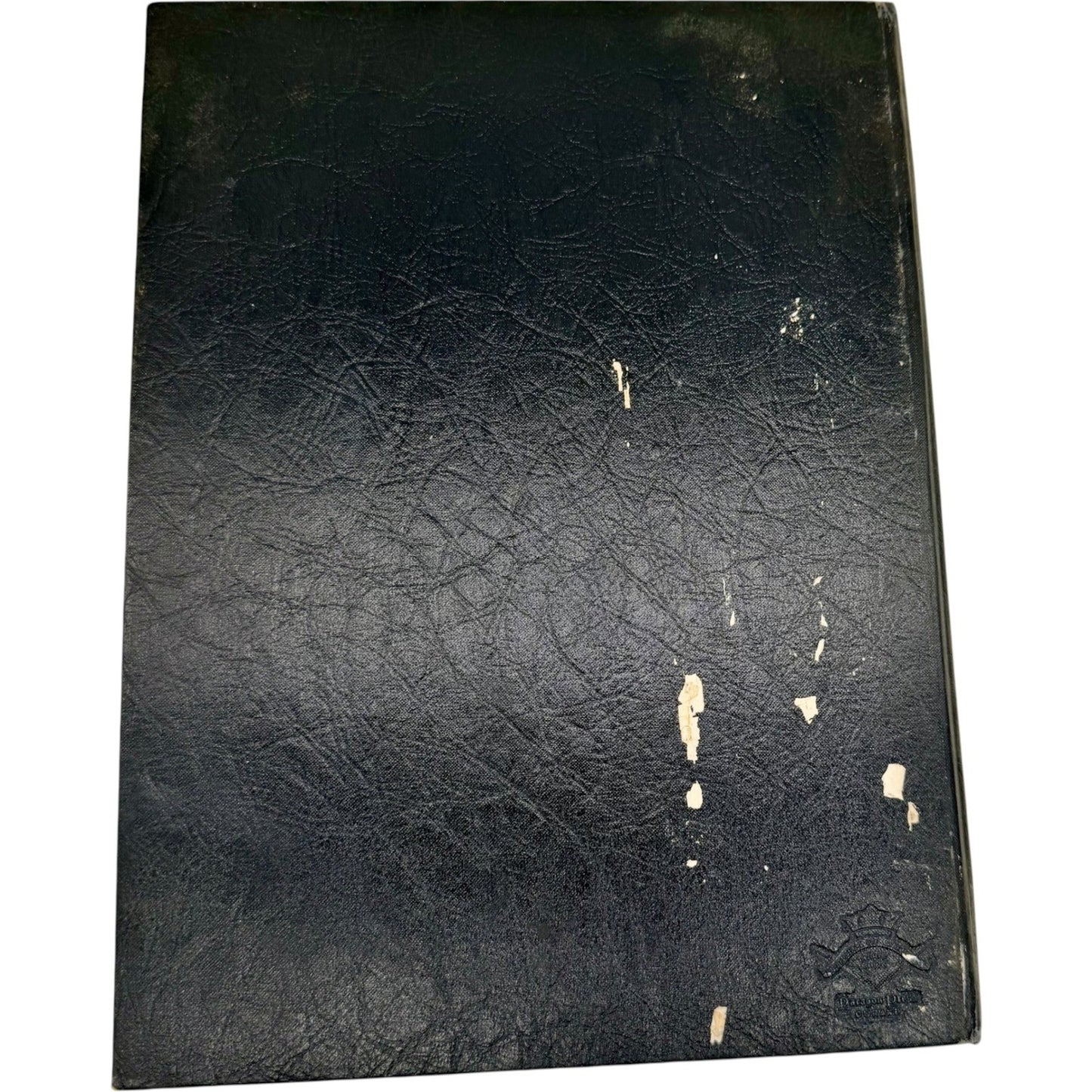 Image #8