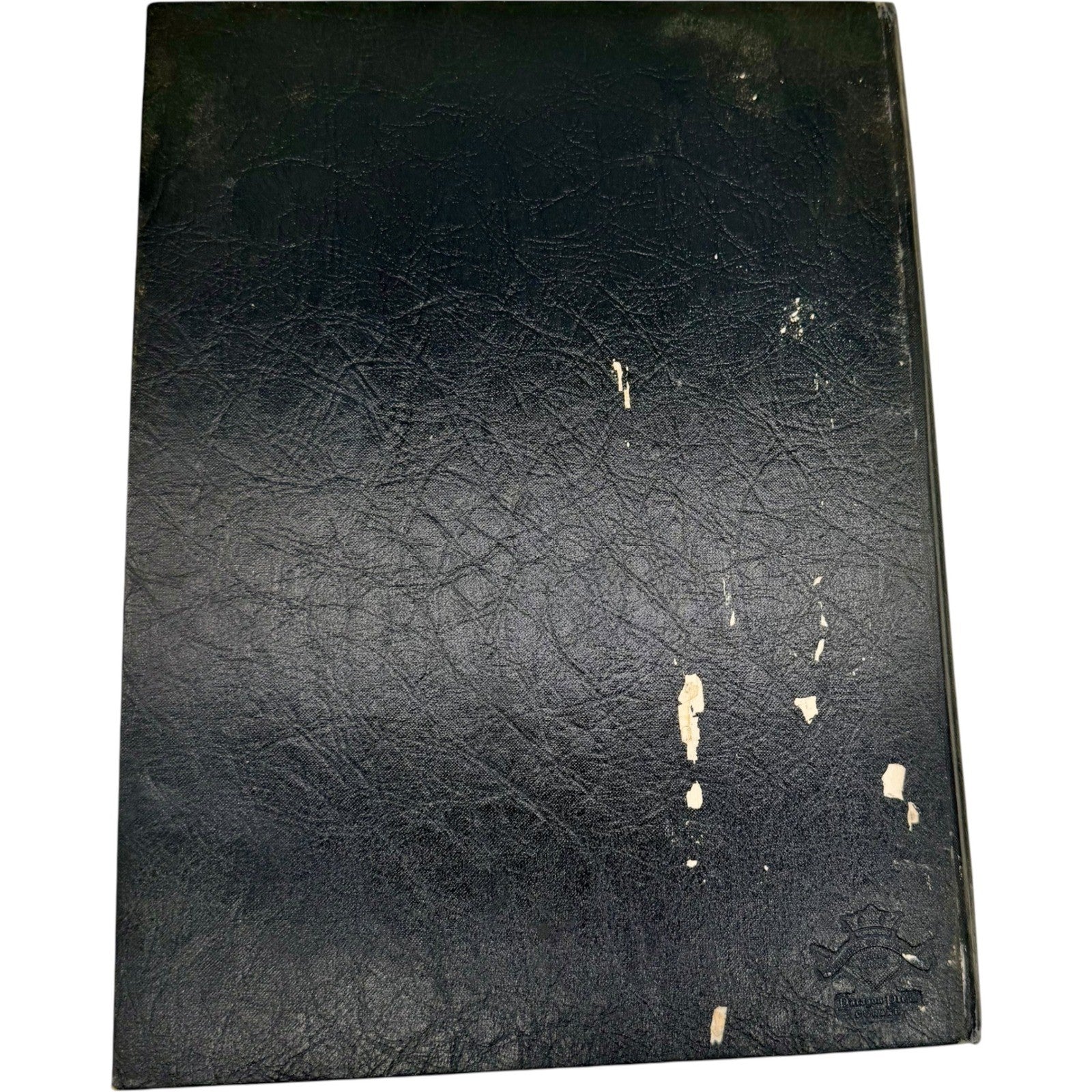 Image #8