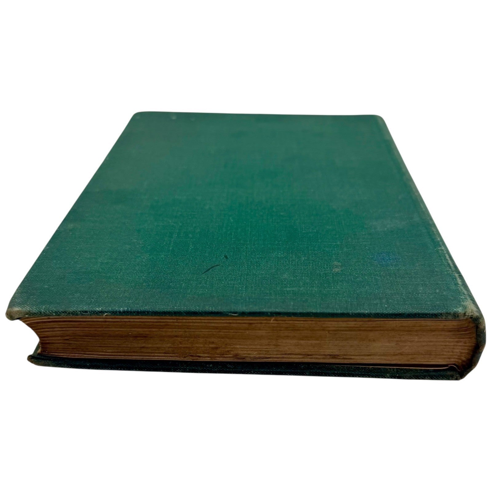 Image #6
