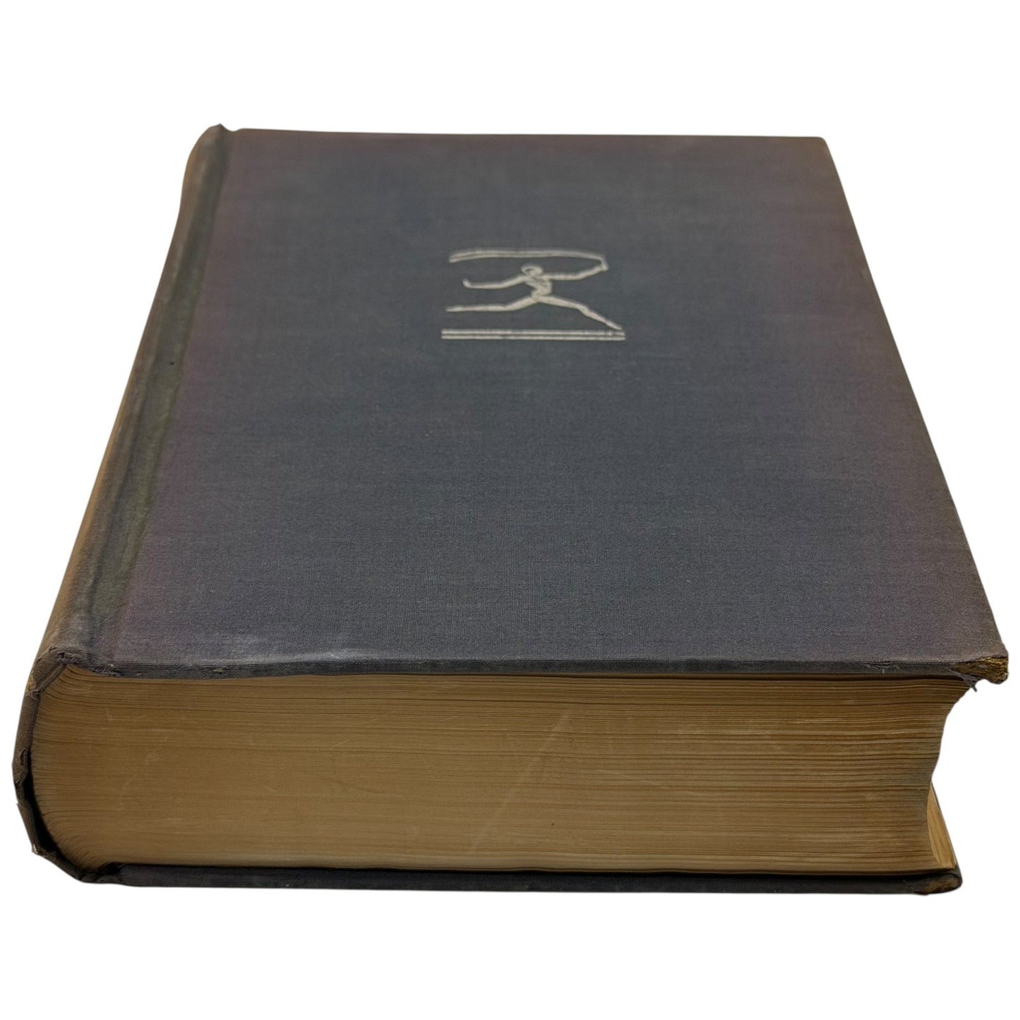 Image #8