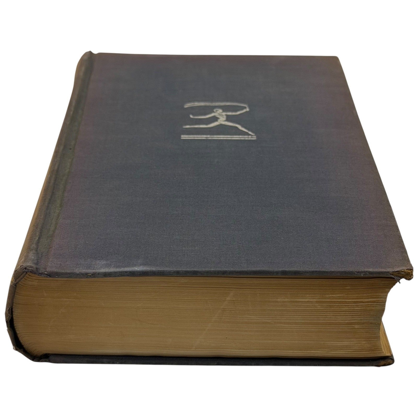 Image #8