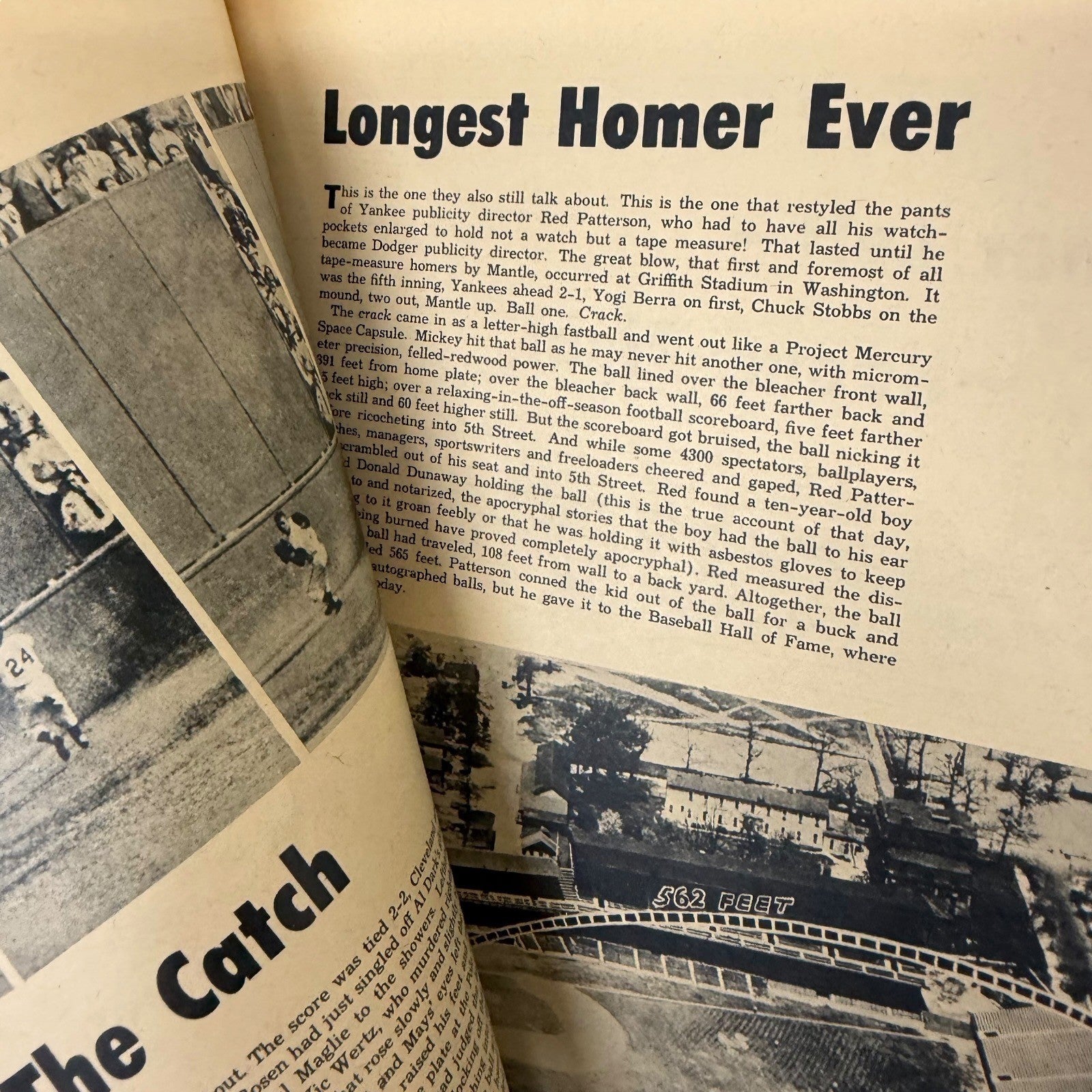 Image #12