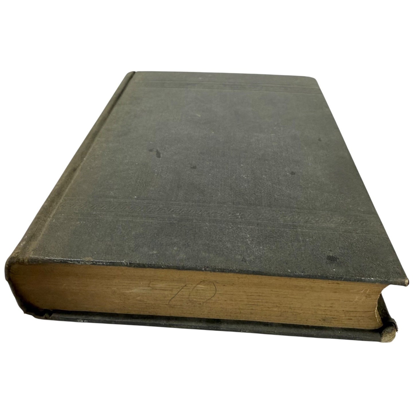 Image #6