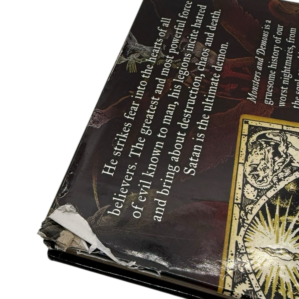 Image #7