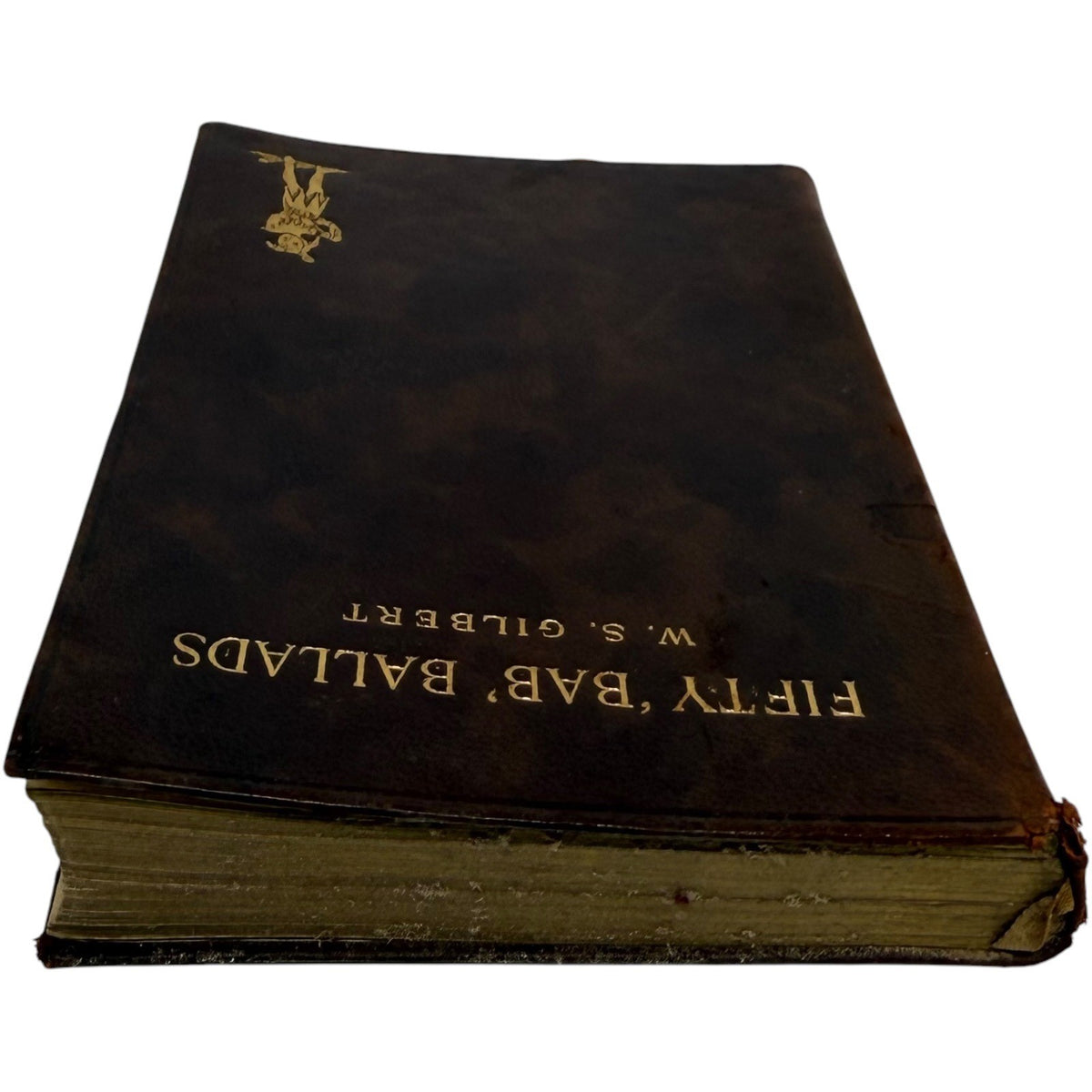 Image #5