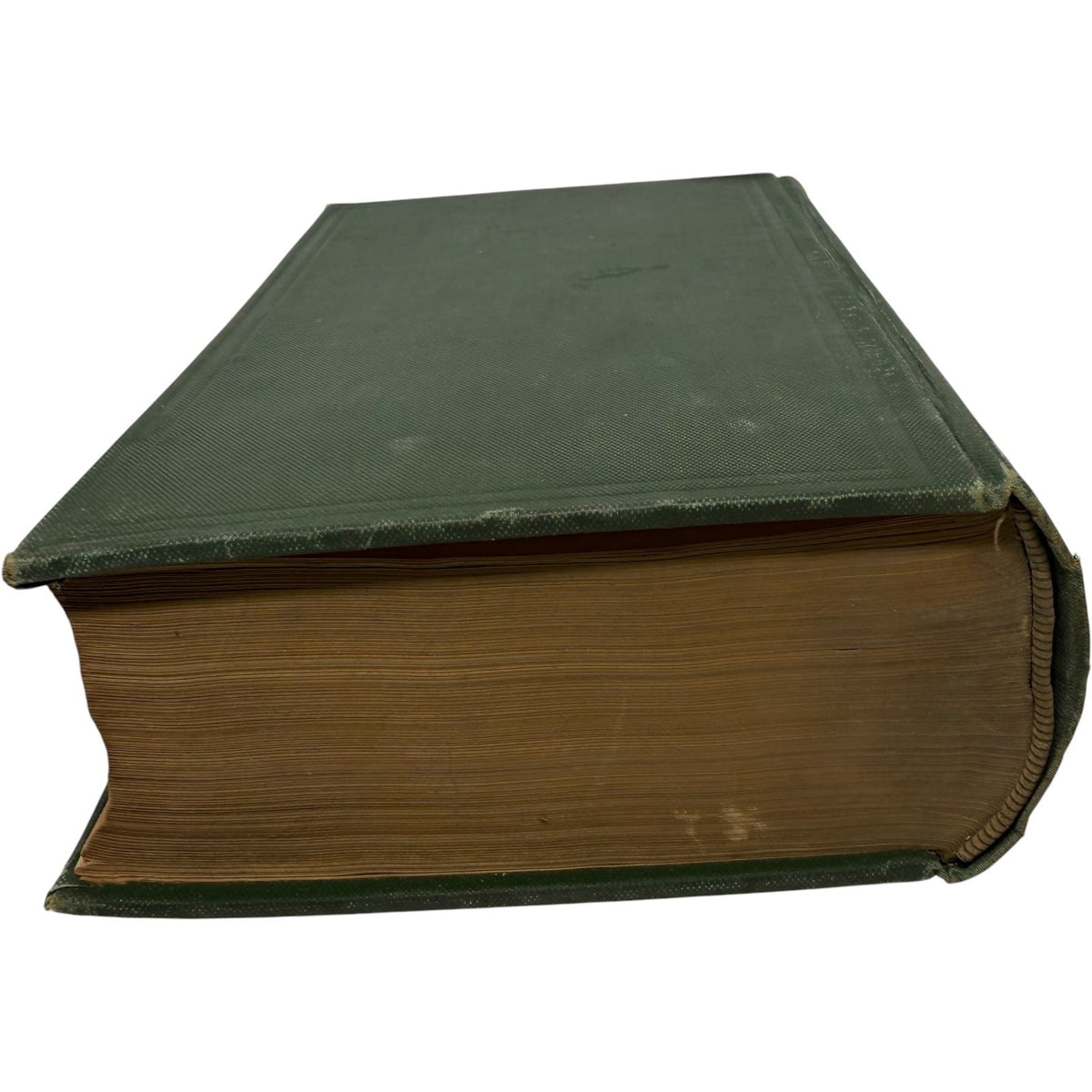 Image #5