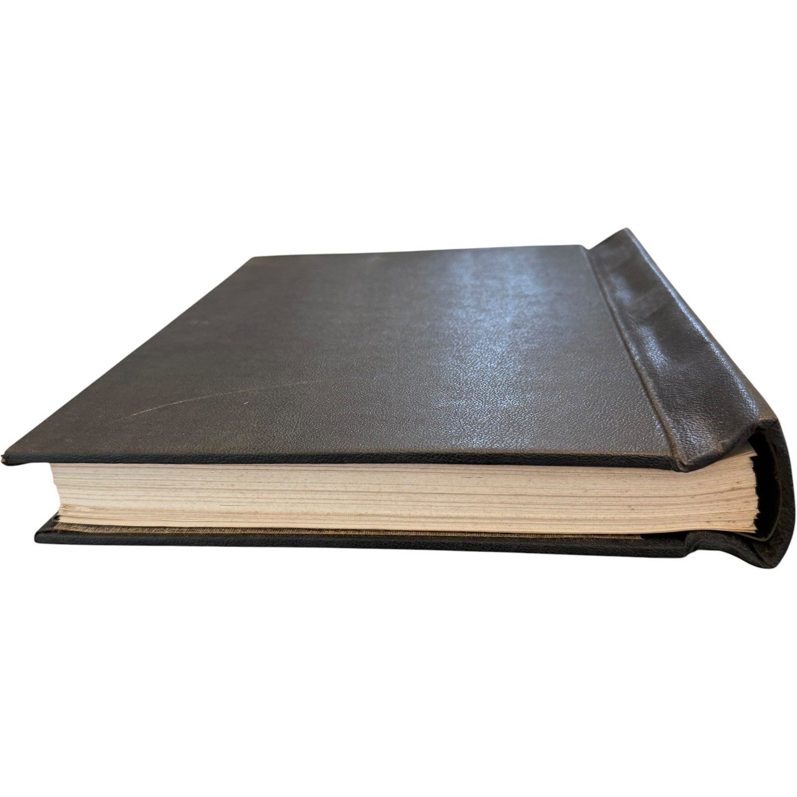 Image #5