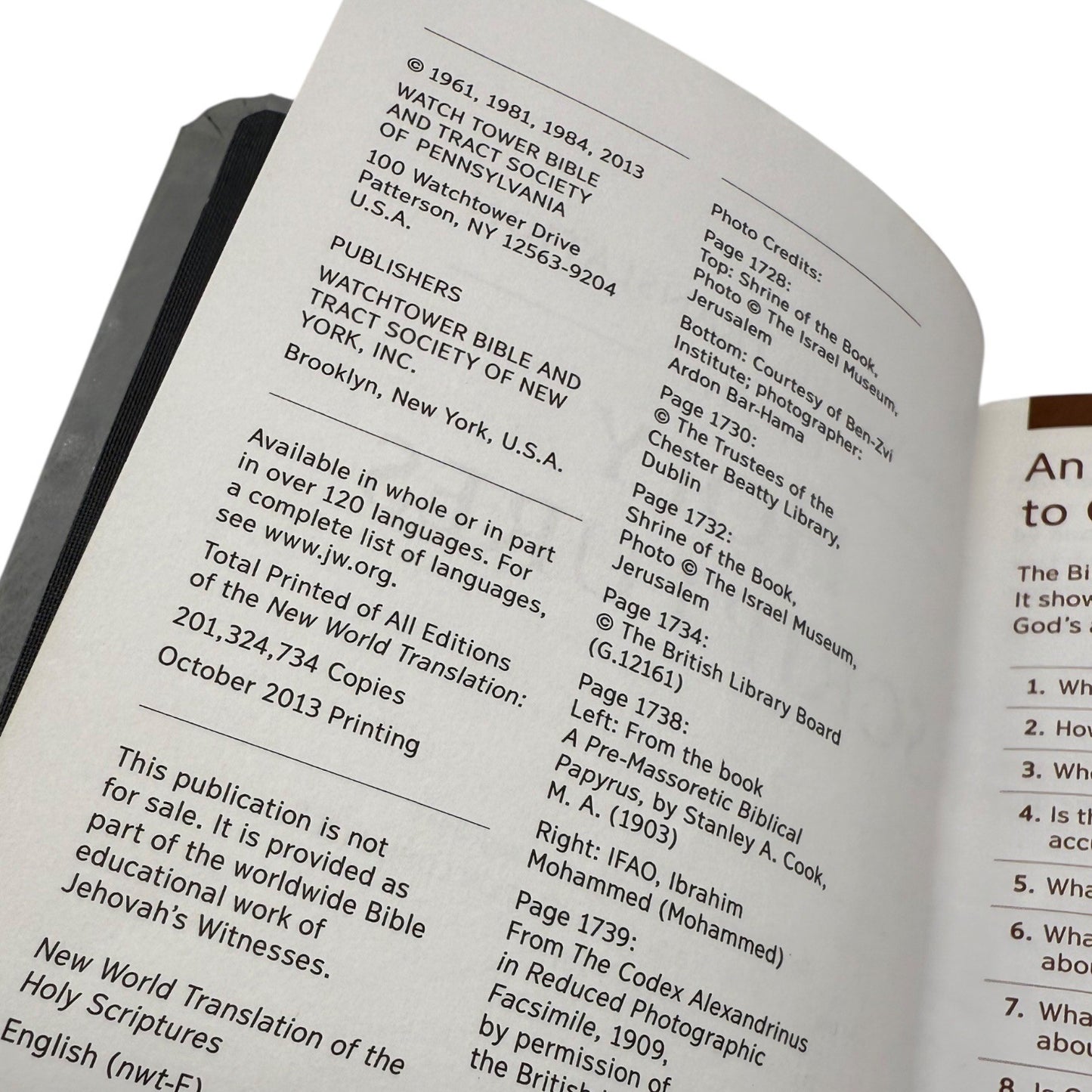 Image #5