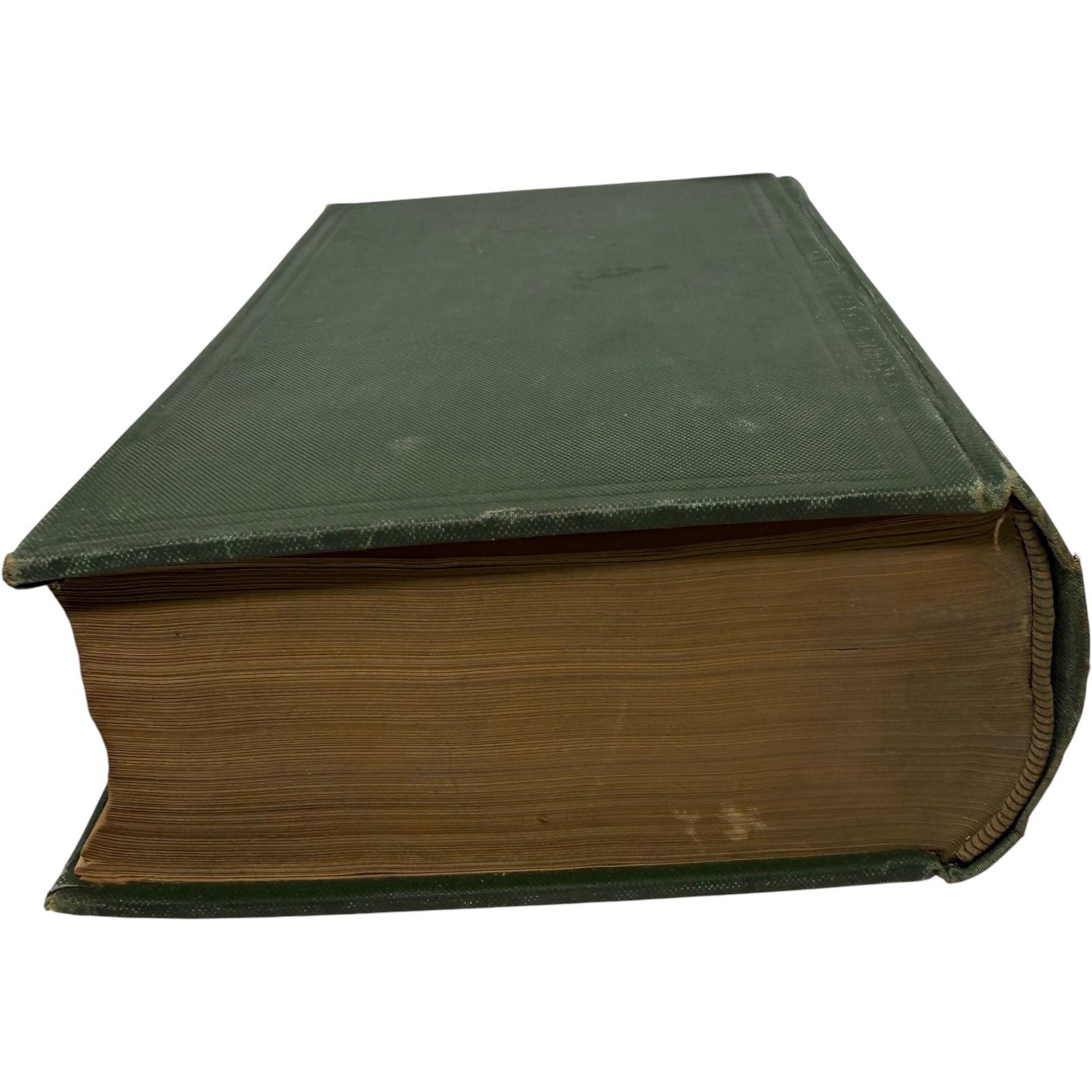 Image #5