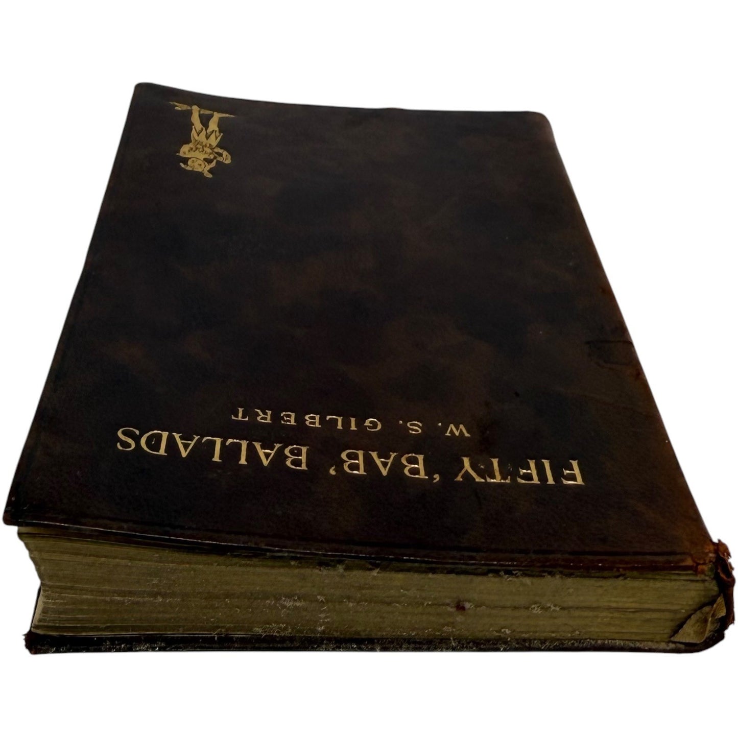 Image #5