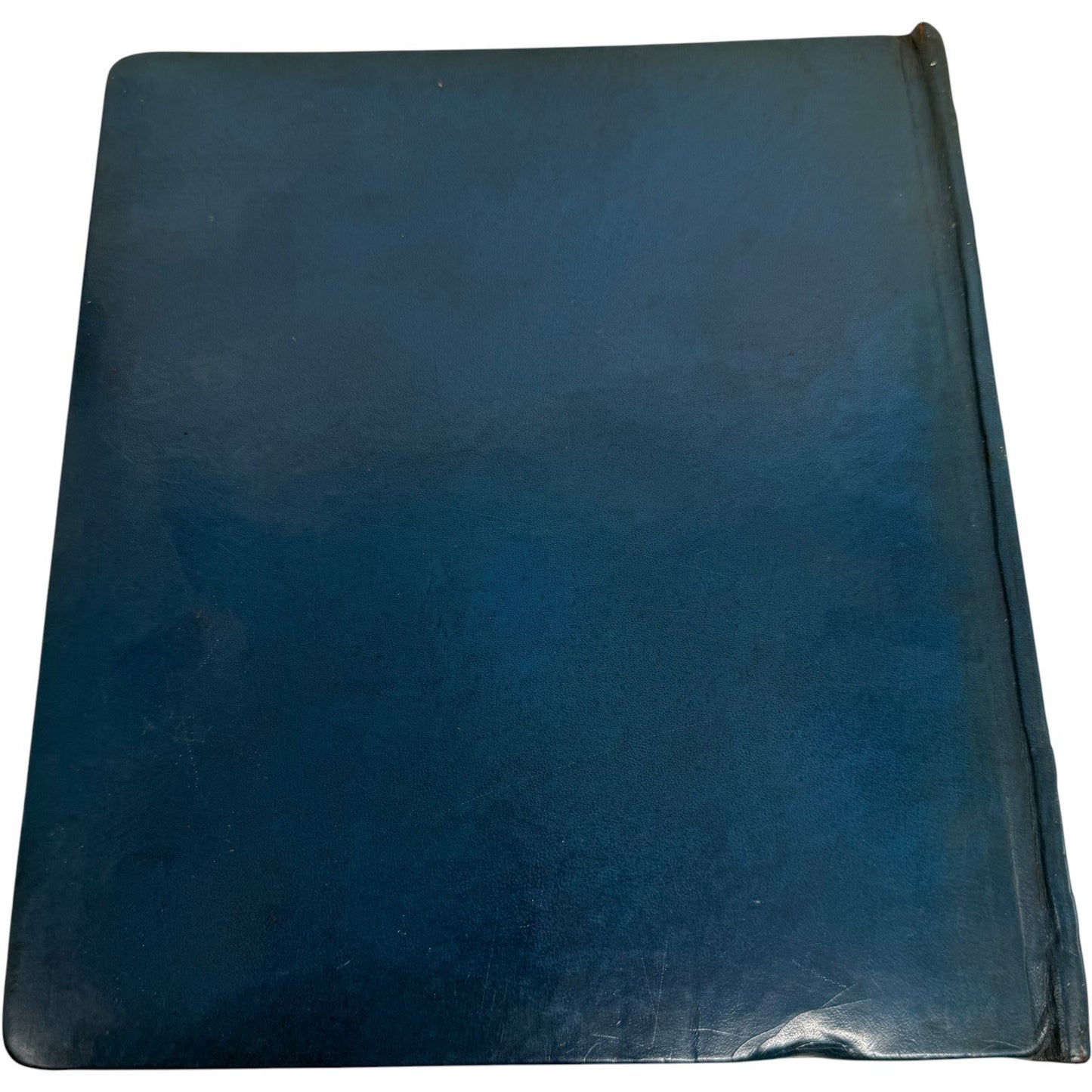 Image #7
