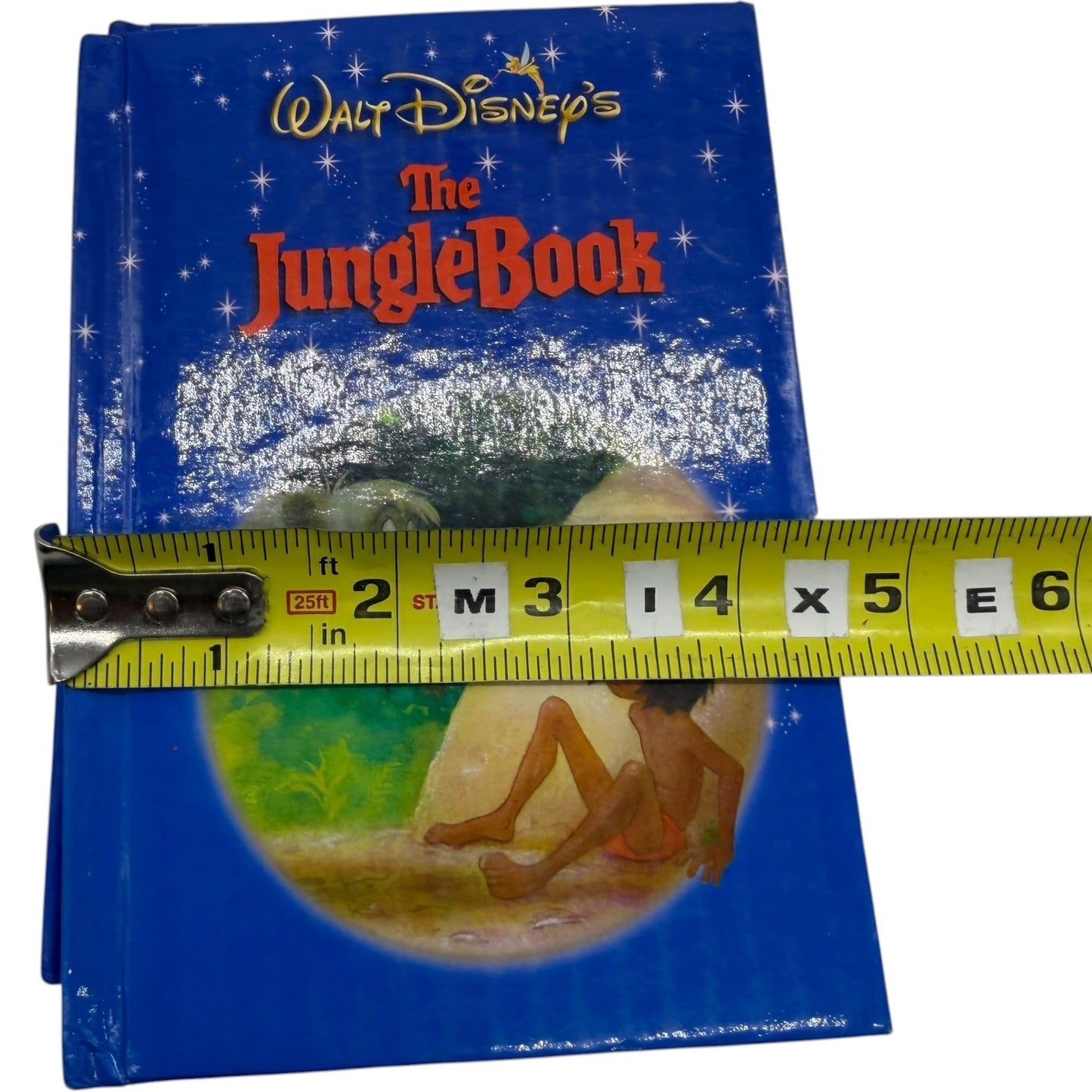 Image #13