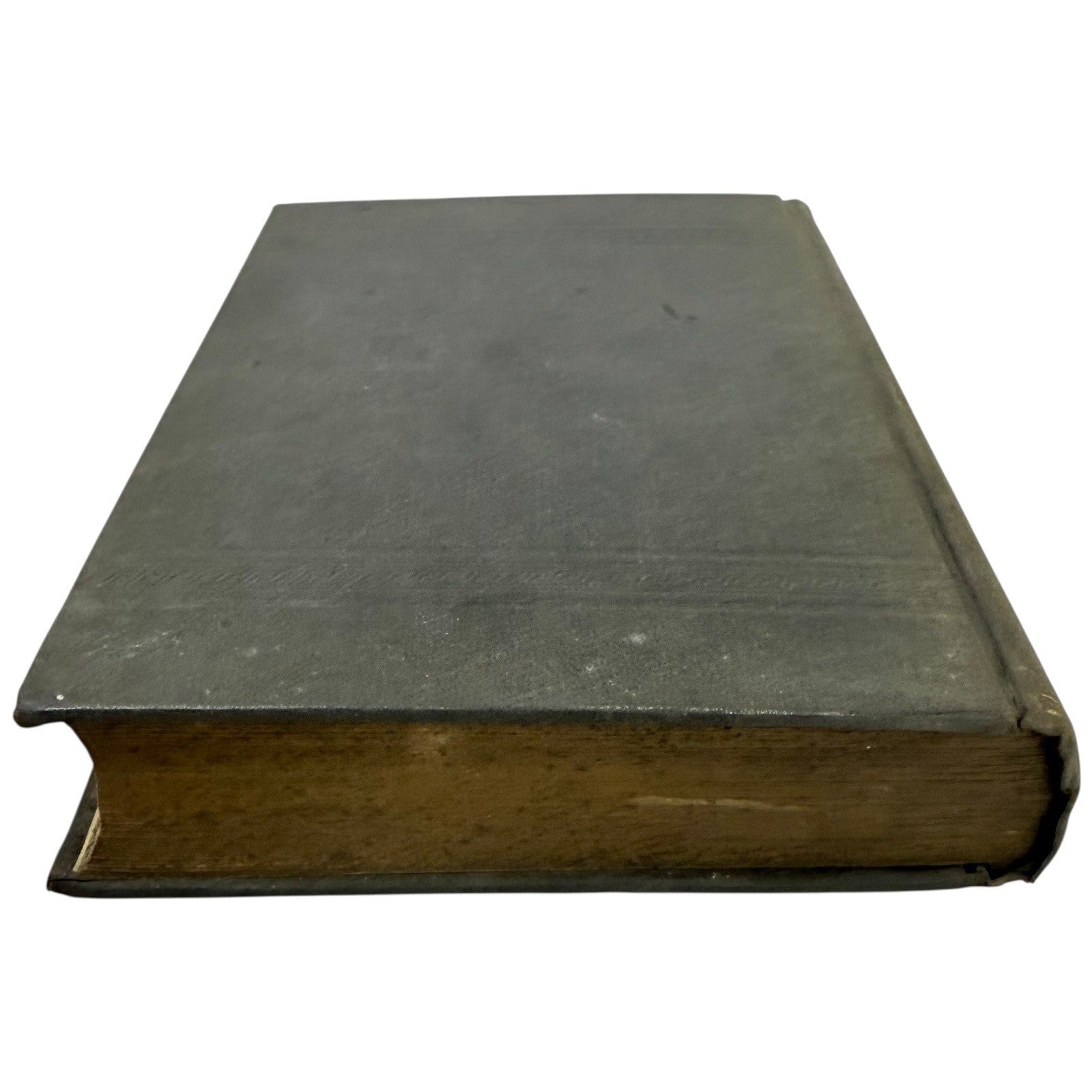 Image #8