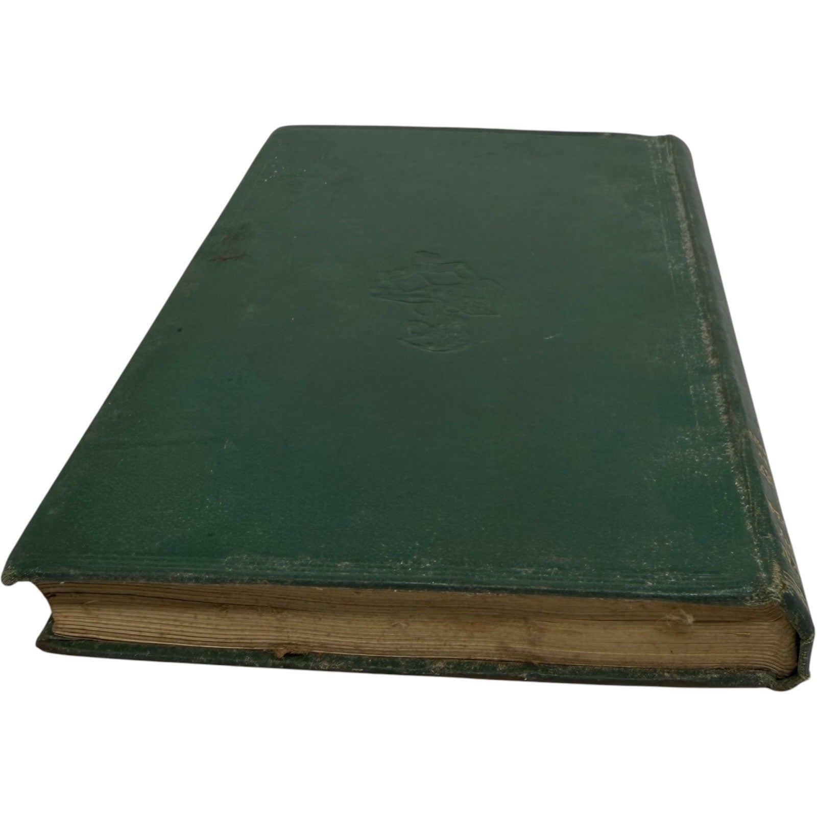 Image #5