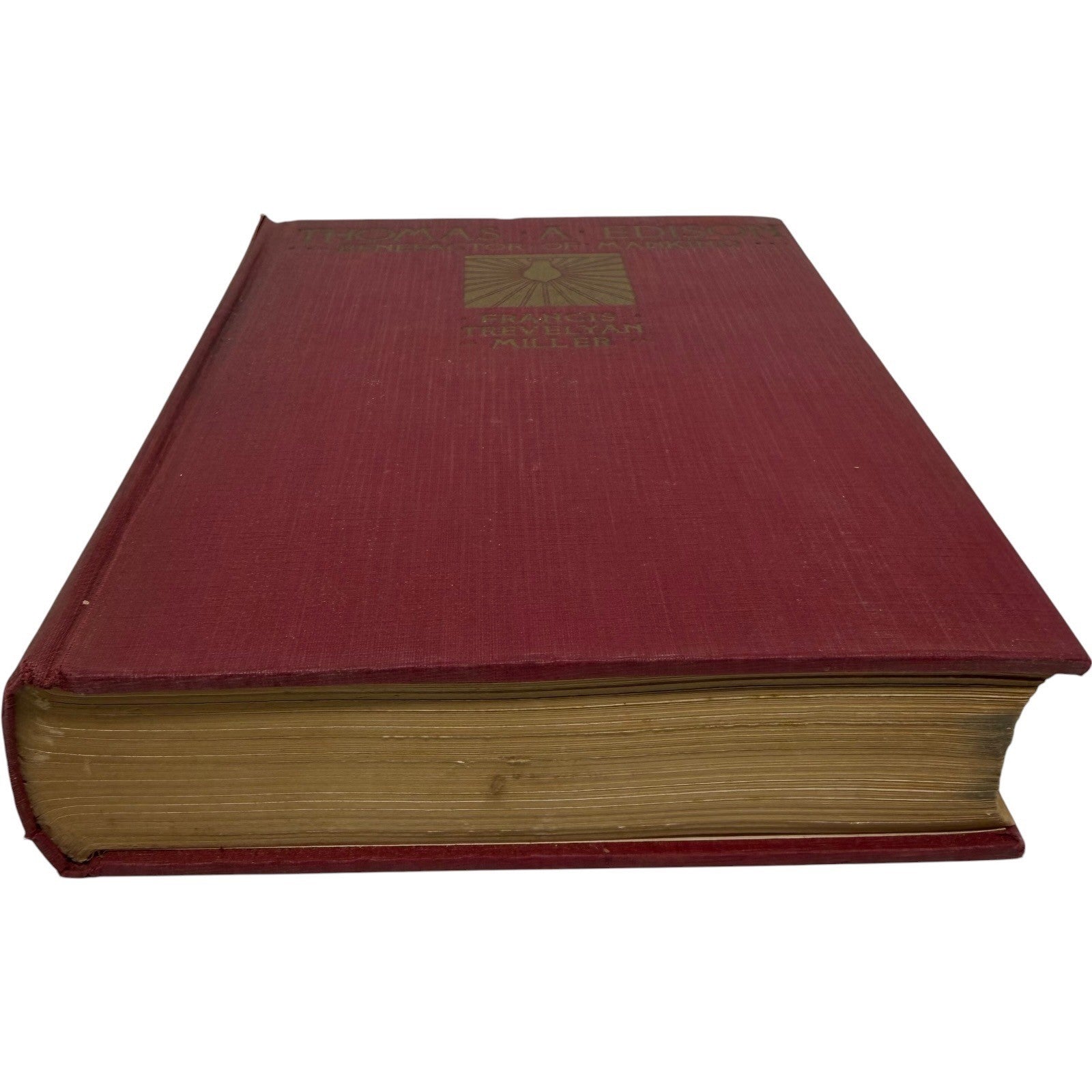 Image #3