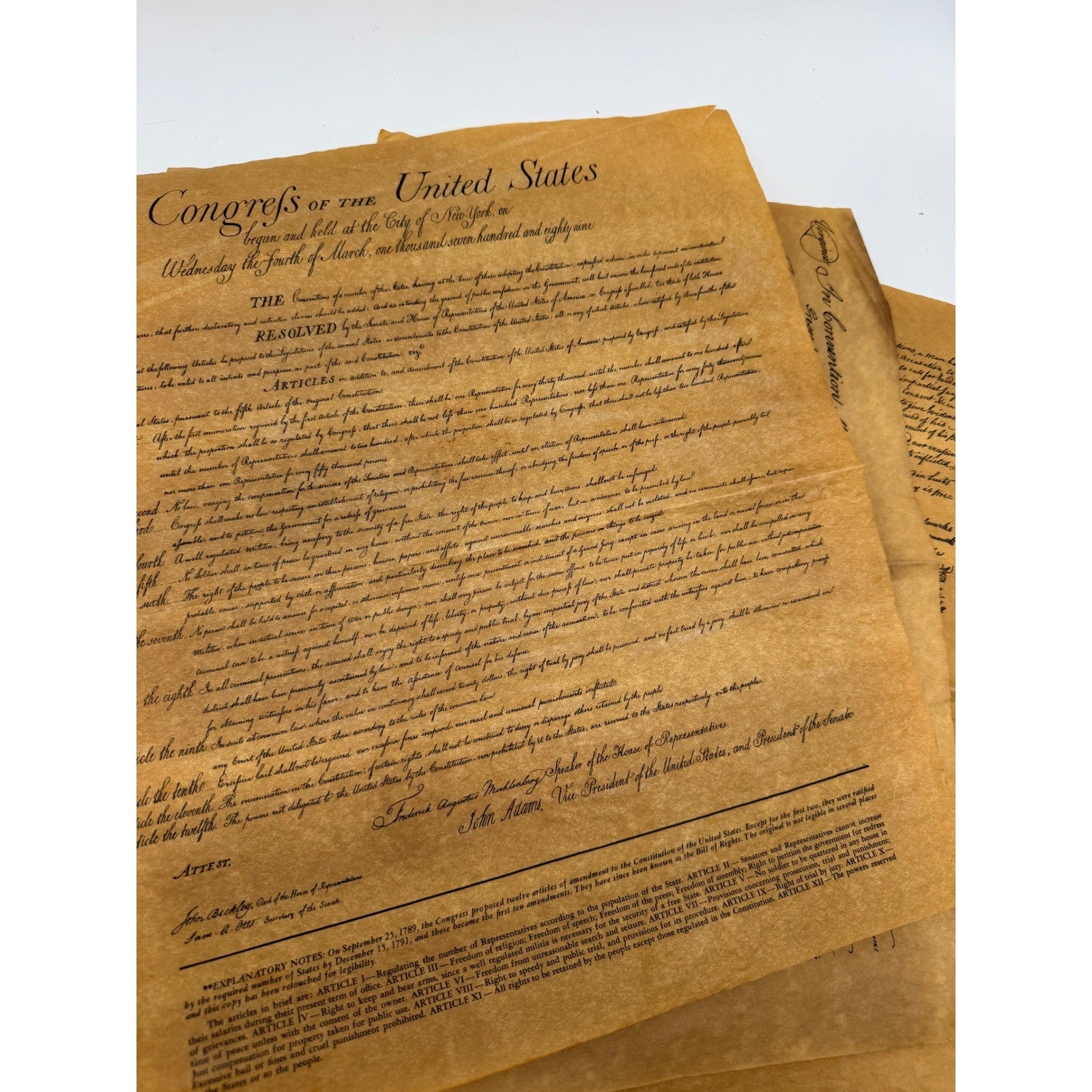 Bill of Rights Virginia Resolution & Declaration of Rights Parchment Replicas