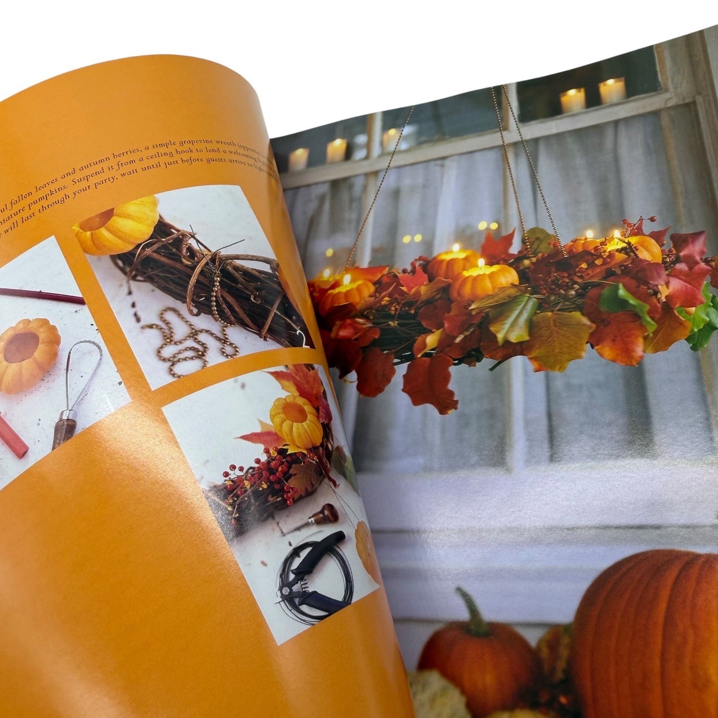 Martha Stewart Living Halloween Magazine Book Best of Tricks and Treats 2001