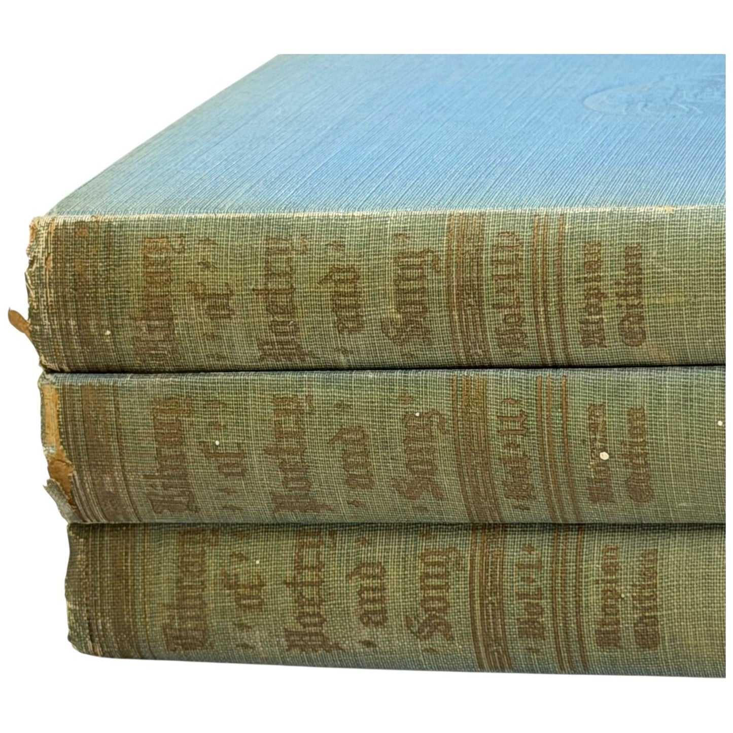 Library of Poetry and Song Books William Cullen Bryant 1925 Antique