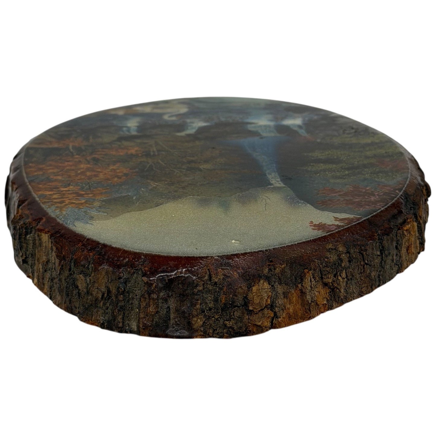 Catskill Game Farm Waterfall Swan Wood Slice Wall Art Made in USA
