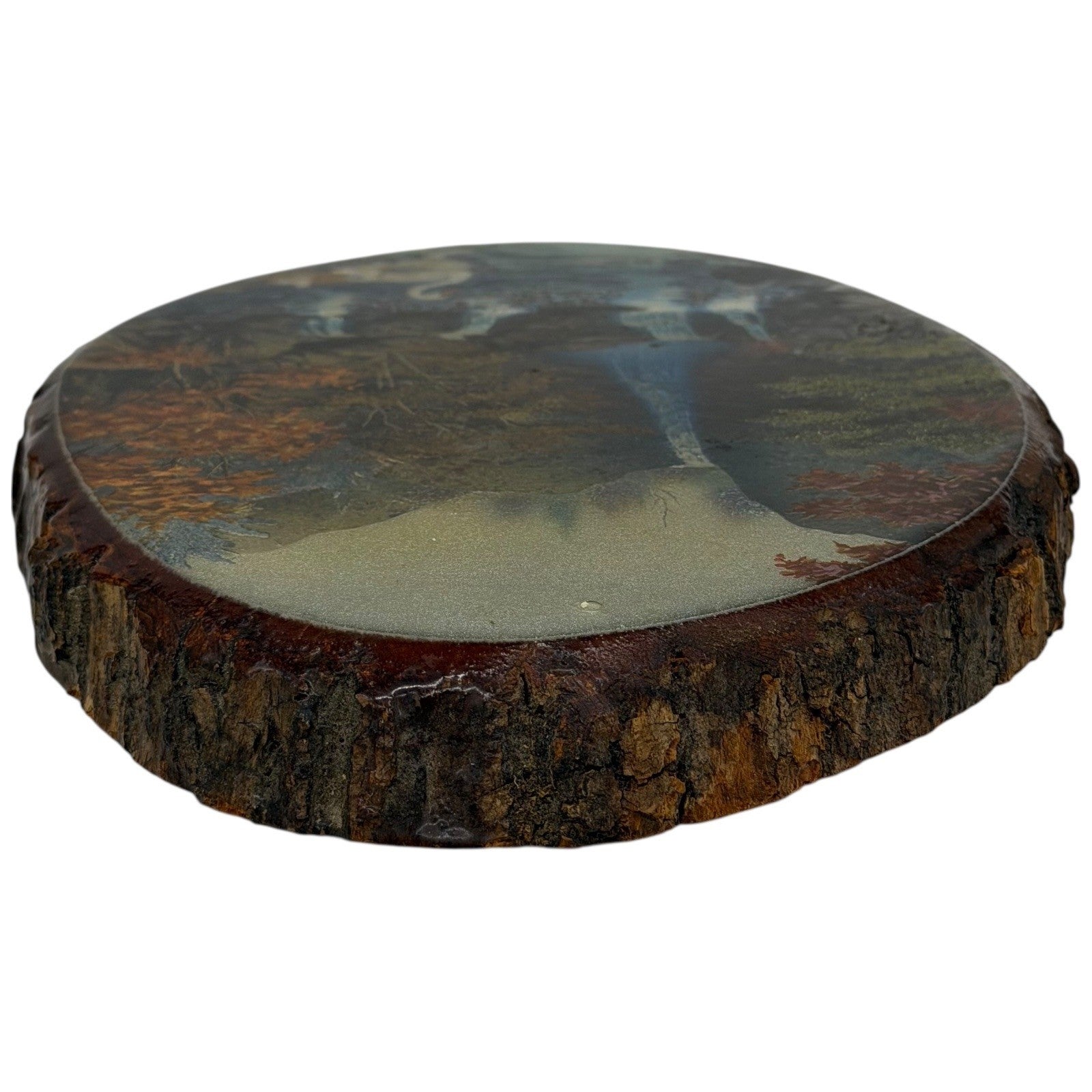 Catskill Game Farm Waterfall Swan Wood Slice Wall Art Made in USA