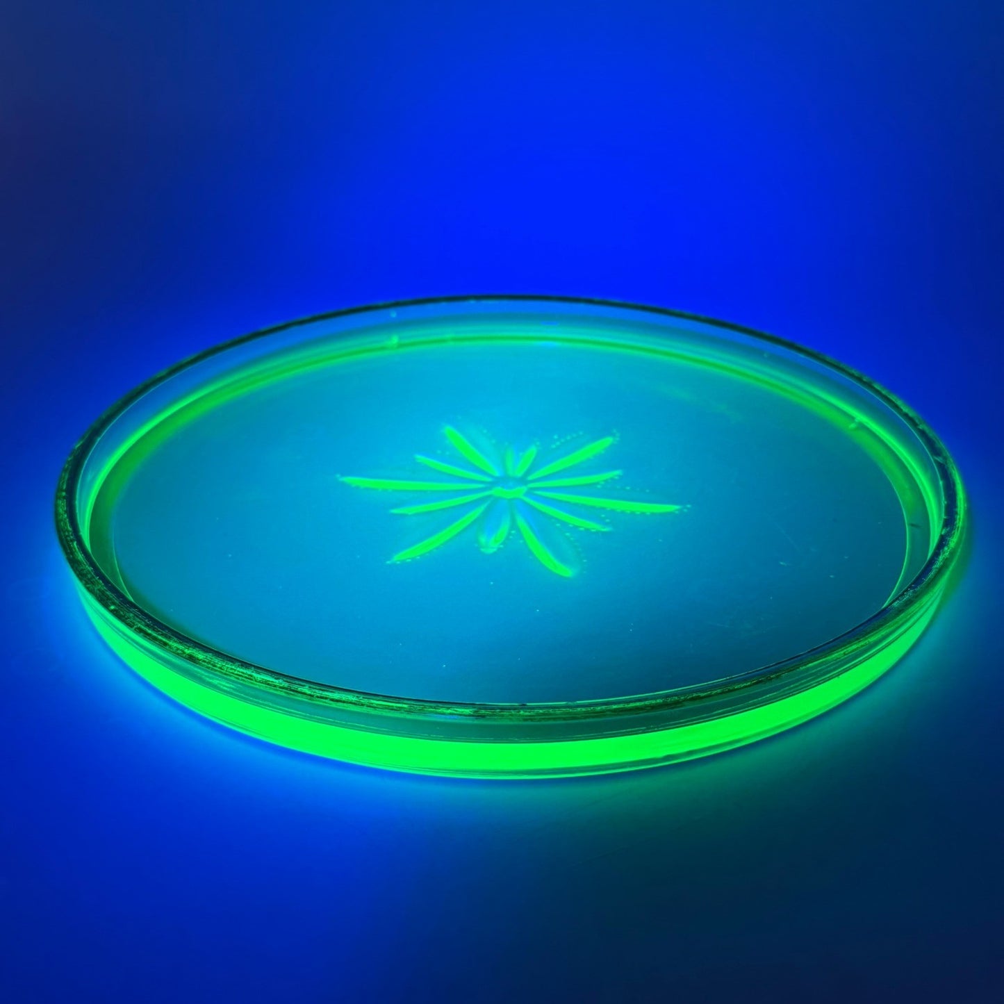 Vintage Green Uranium Glass Tray Starburst Pattern Gold Rim UV Reactive
