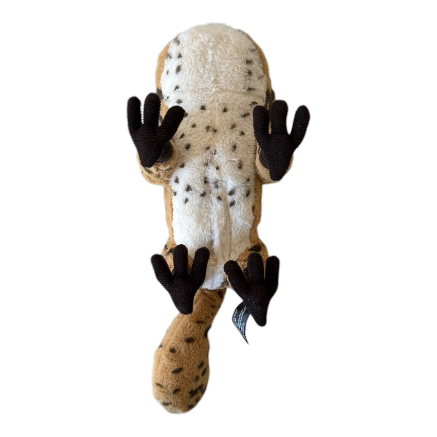 Disney Star Wars Galaxy's Edge LOTH CAT Plush Toy Creatures Interactive Works