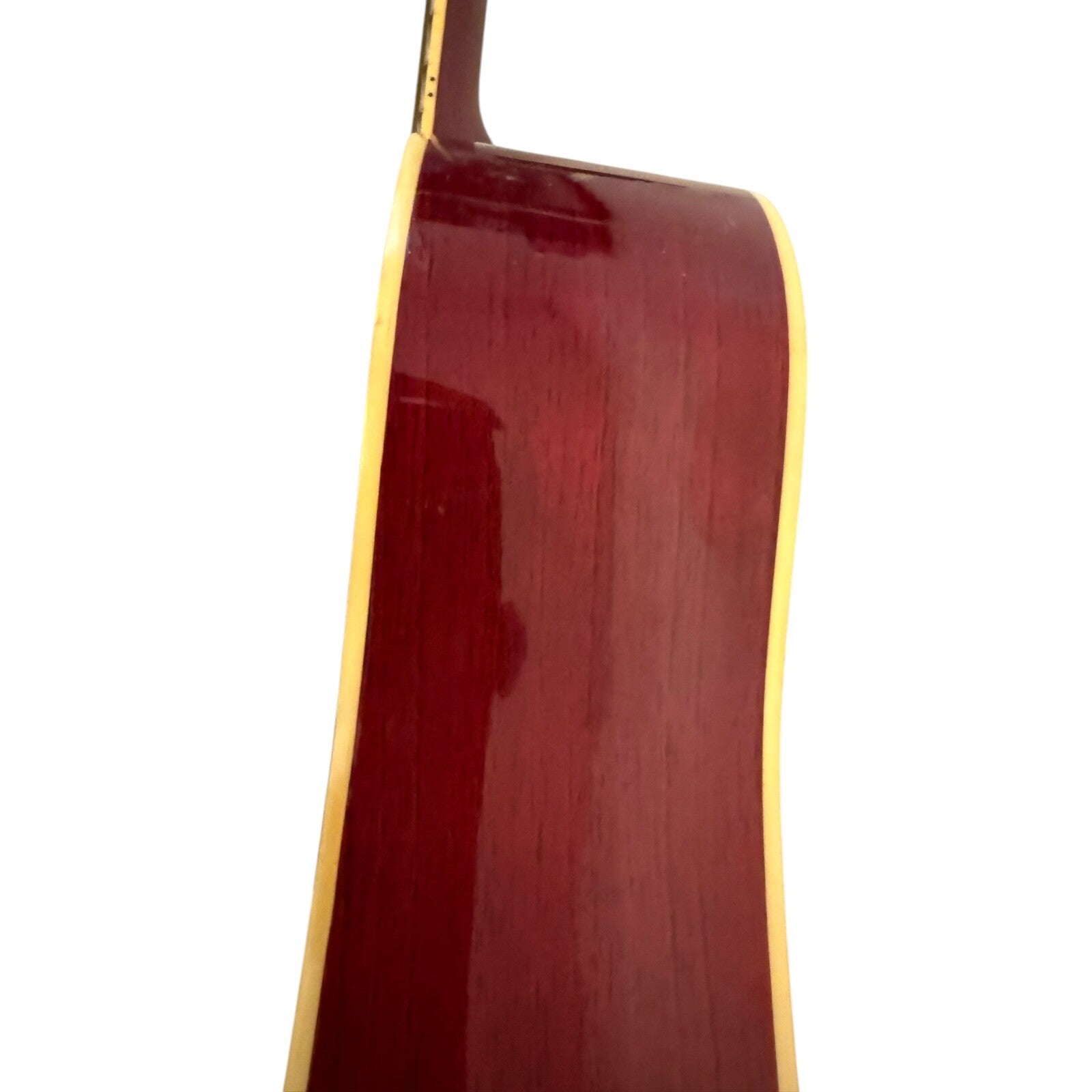 Samick Greg Bennett D5 Left-Handed Acoustic and Guitar Case
