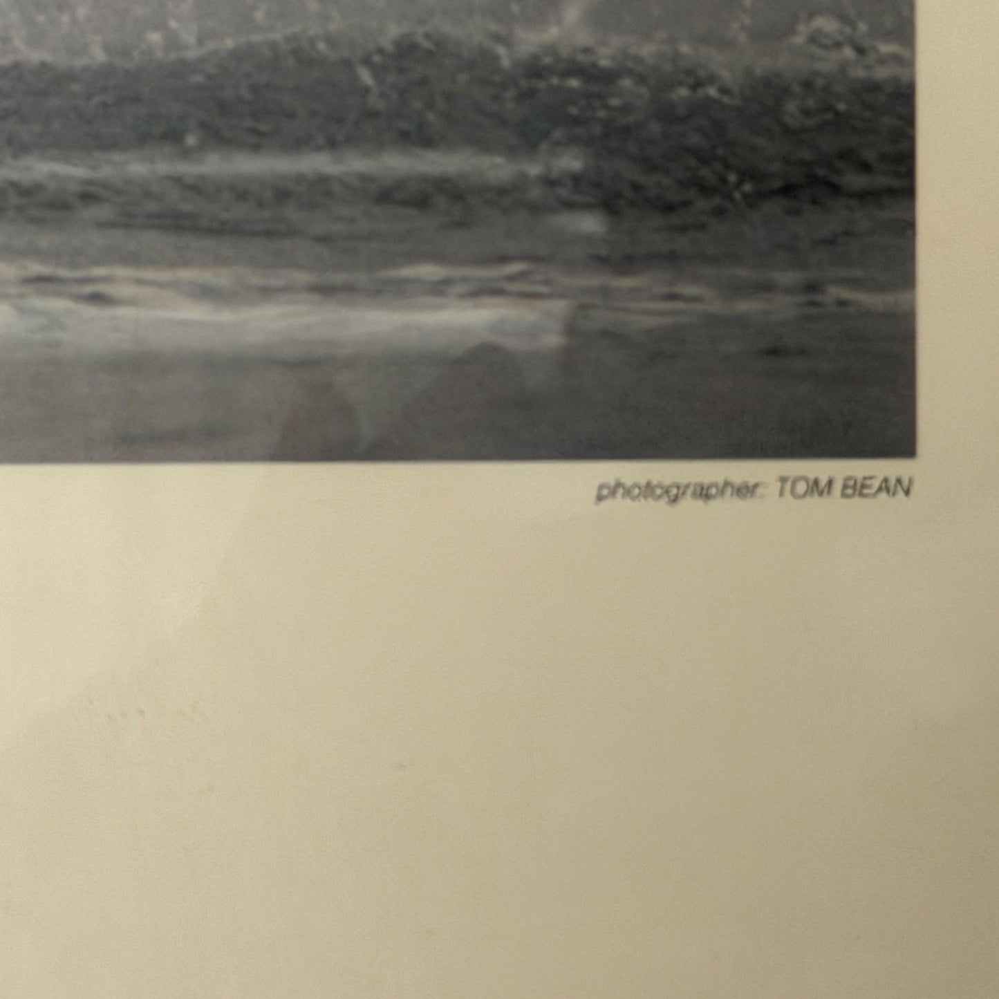 Framed Whale Tail Art Print Ted Sherman Photographer Tom Bean Quote 19 x 15