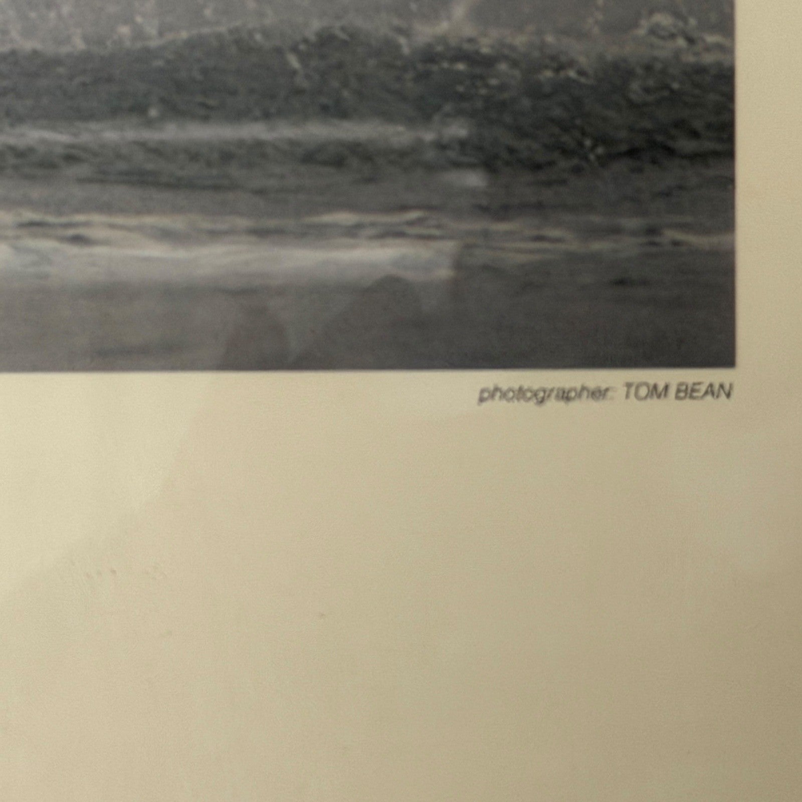 Framed Whale Tail Art Print Ted Sherman Photographer Tom Bean Quote 19 x 15
