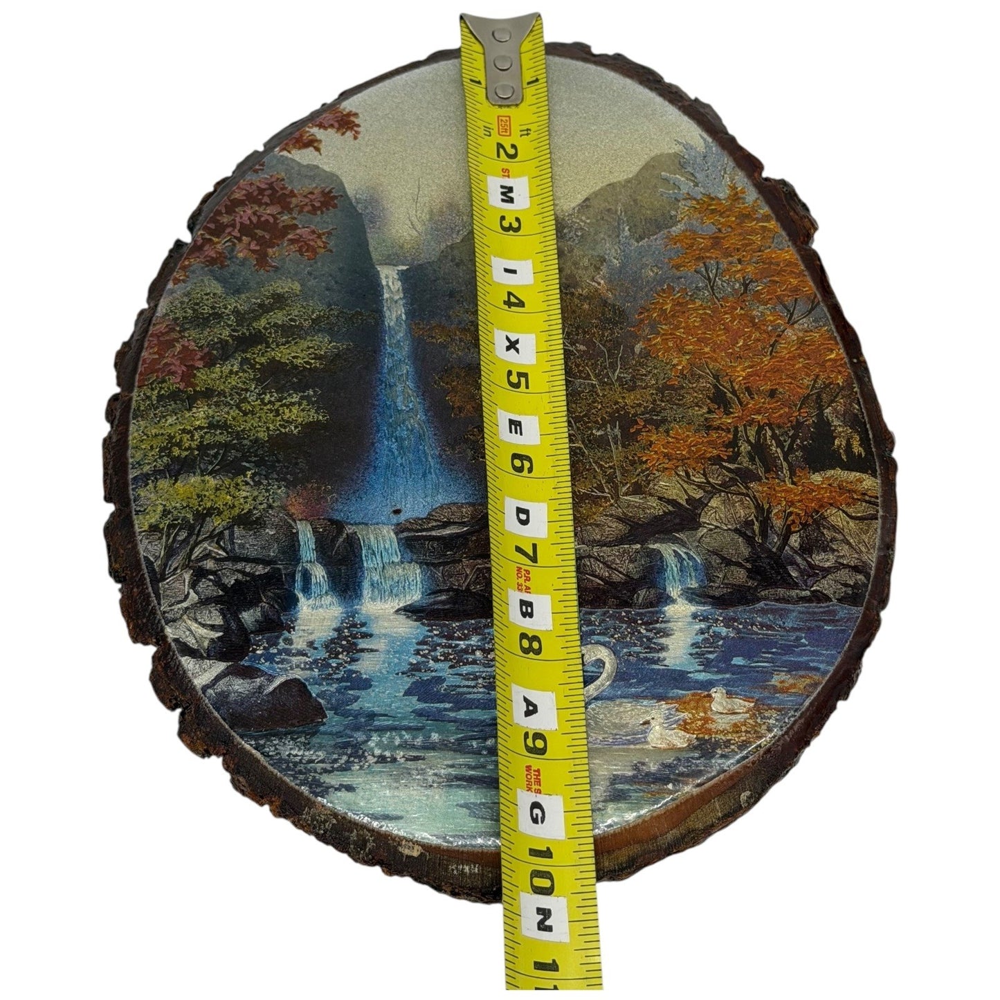 Catskill Game Farm Waterfall Swan Wood Slice Wall Art Made in USA