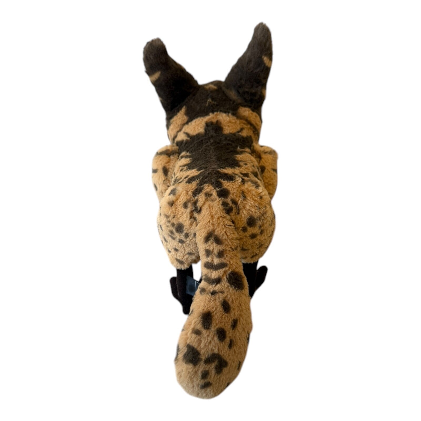 Disney Star Wars Galaxy's Edge LOTH CAT Plush Toy Creatures Interactive Works
