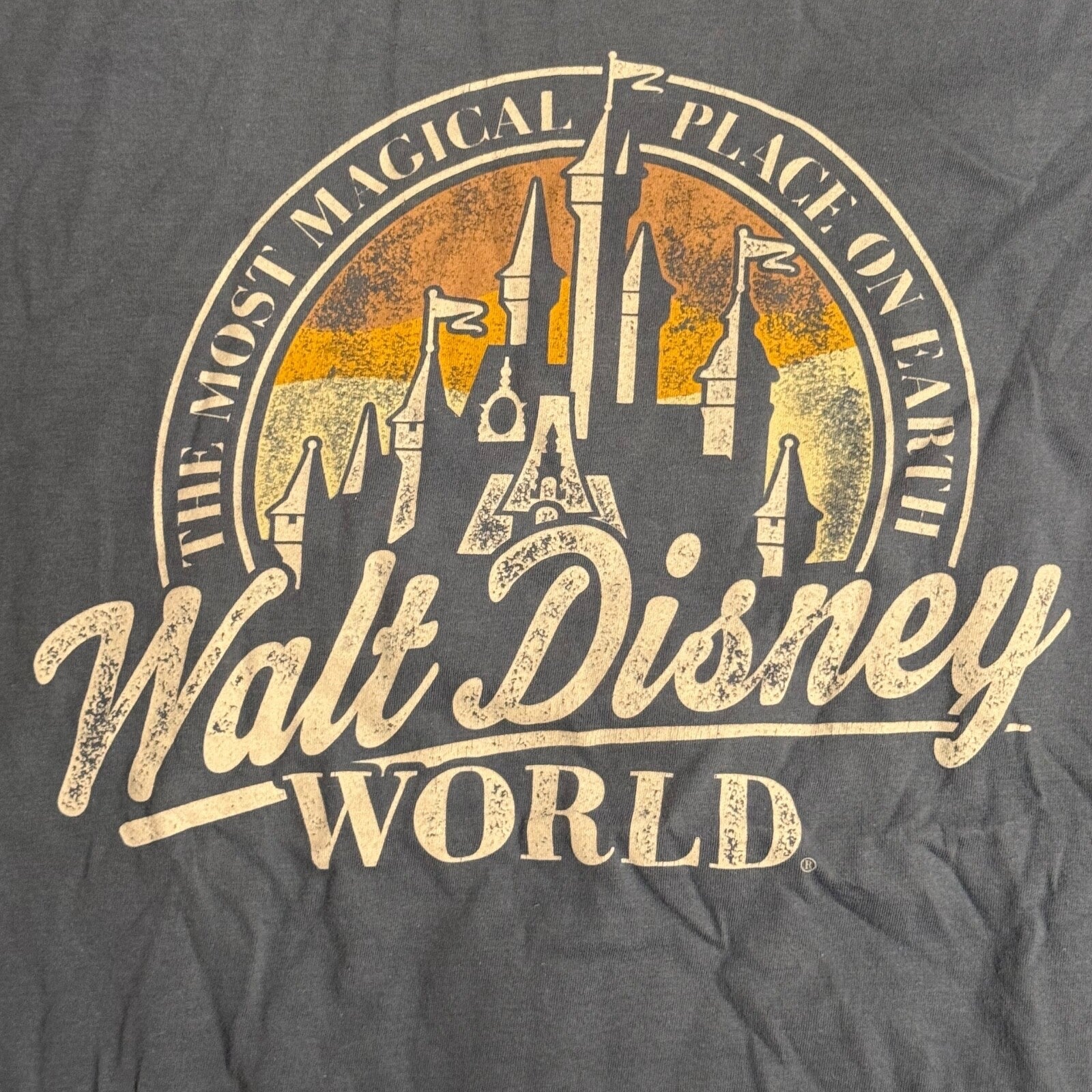 Walt Disney World T-Shirt Mens Med The Most Magical Place on Earth Size Medium