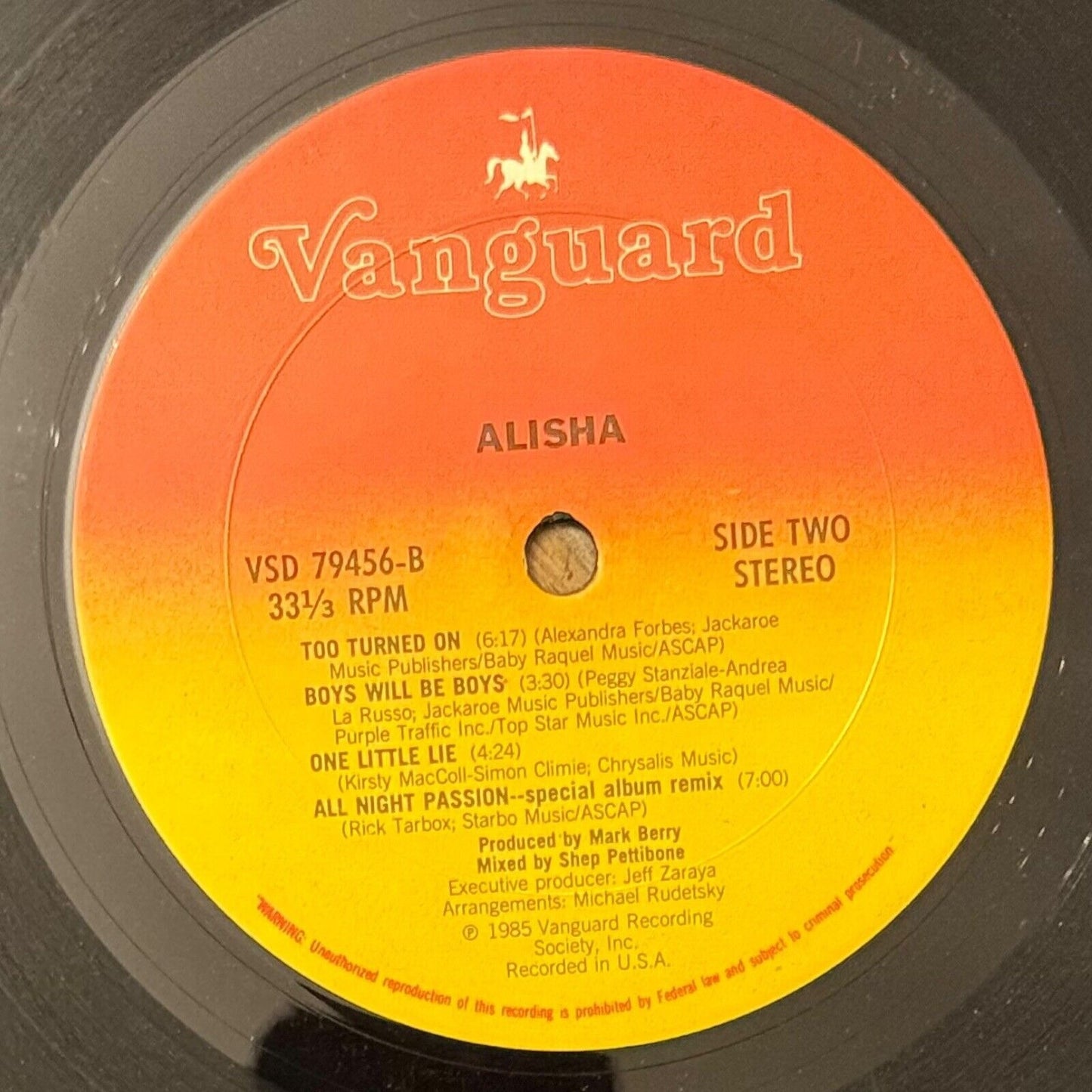 Alisha 1985 LP Vinyl Album