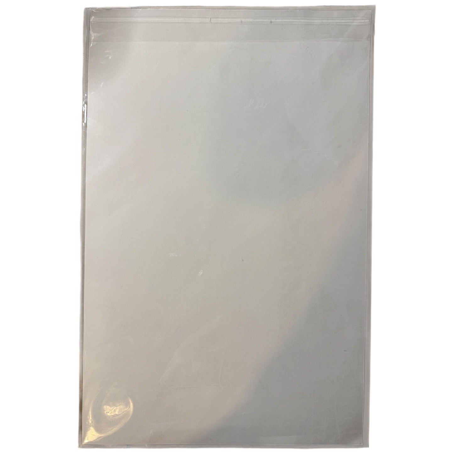 Batman #5 Page 19 Court of Owls Art - Capullo Glapion 11x17 DC 2012